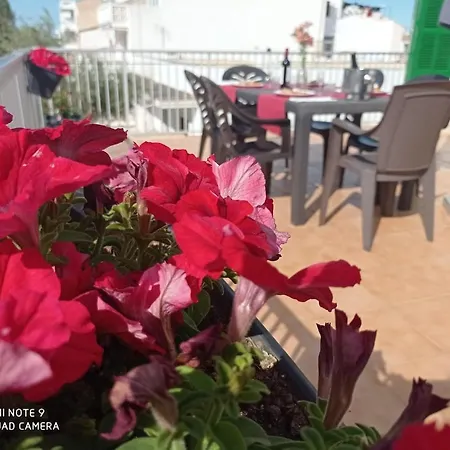Fantastic, 100 Meters From The Appartement *